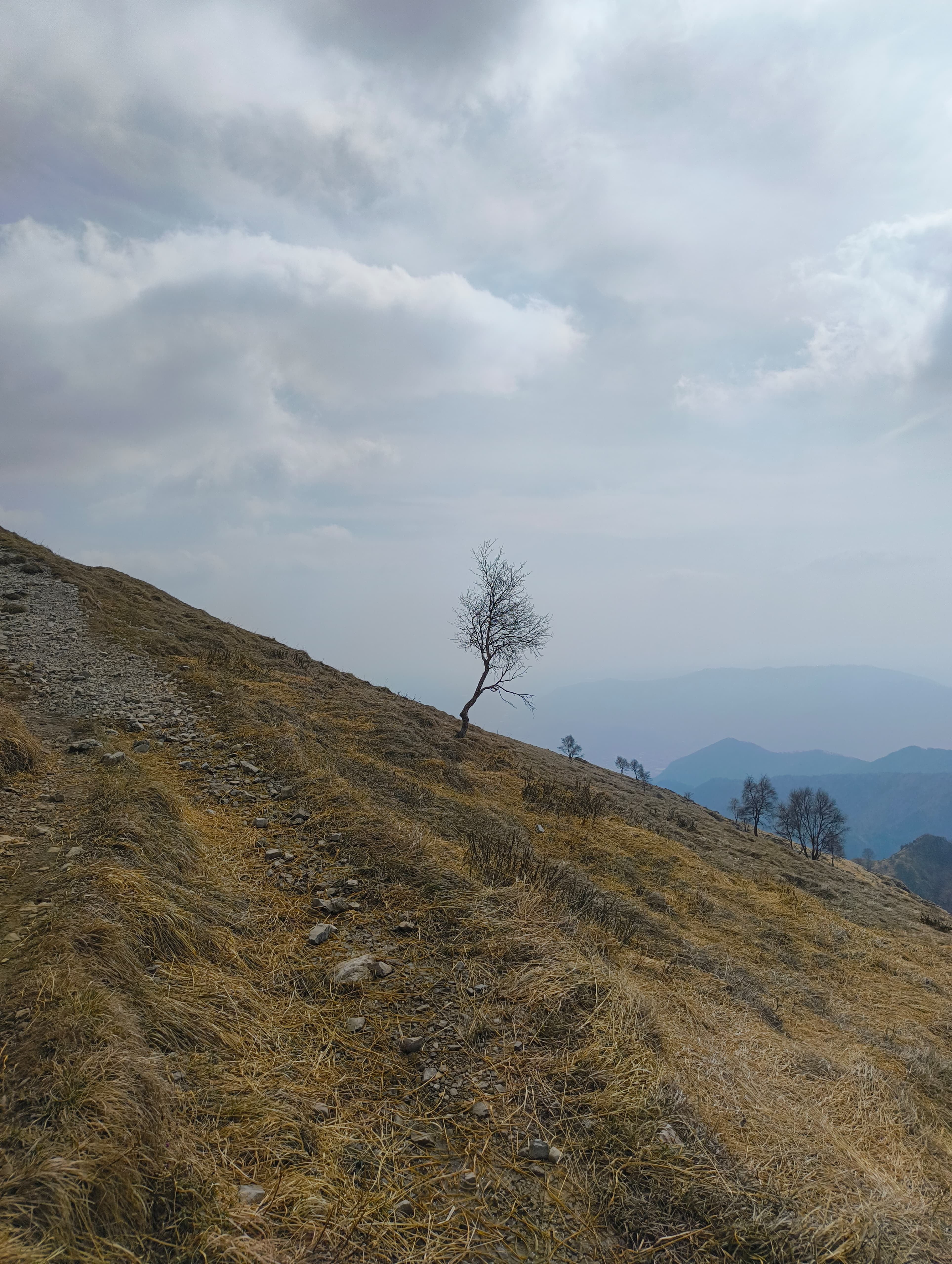 Foto n° 4 del trekking Resegone │ Gamma 1